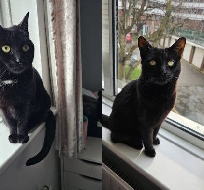 Sky & Luna